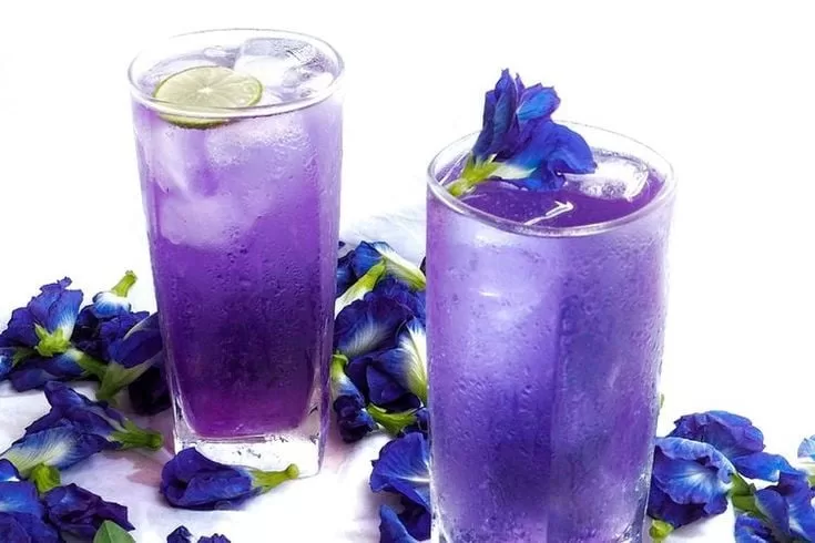 Resep Membuat Minuman Dari Bunga Telang